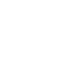 section-line-icon